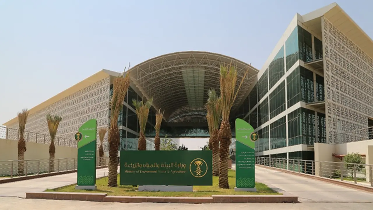 موعد الحظر.. بدء إيقاف زراعة الأعلاف المعمرة في 16 نوفمبر المقبل